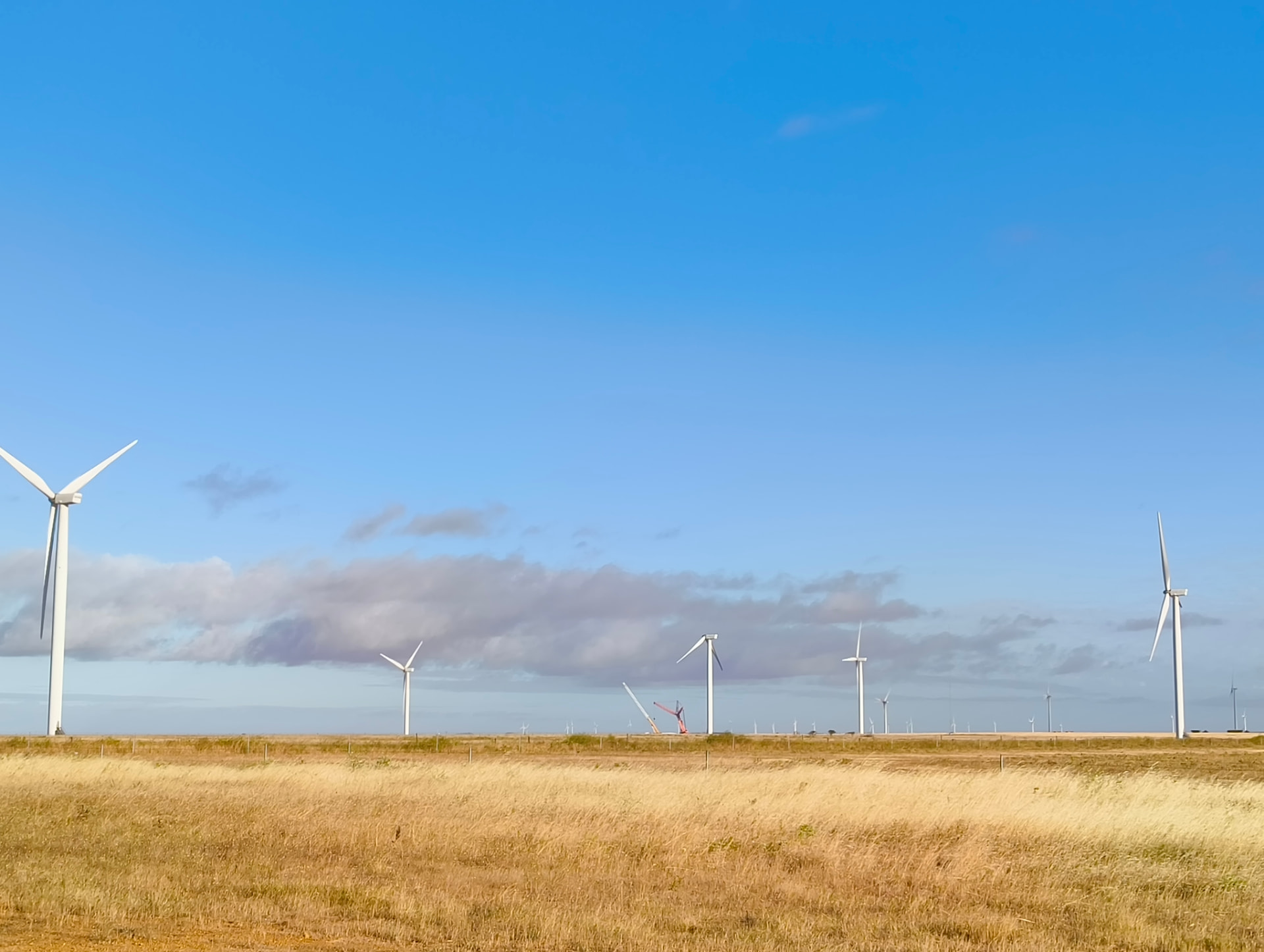 Wind turbines stand in a grassy field under a bright blue sky with scattered clouds, generating renewable energy.